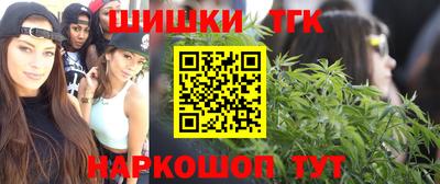 Альфа ПВП Аргун