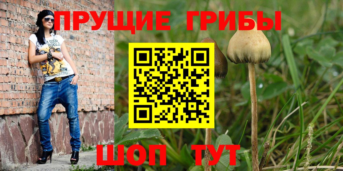 Псилоцибиновые грибы MAGIC MUSHROOMS  Галлюциногенные грибы Psilocybine cubensis  купить наркотик  Вход с VPN  Будённовск 