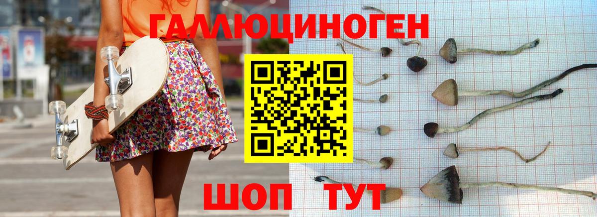 Псилоцибиновые грибы Magic Shrooms Будённовск